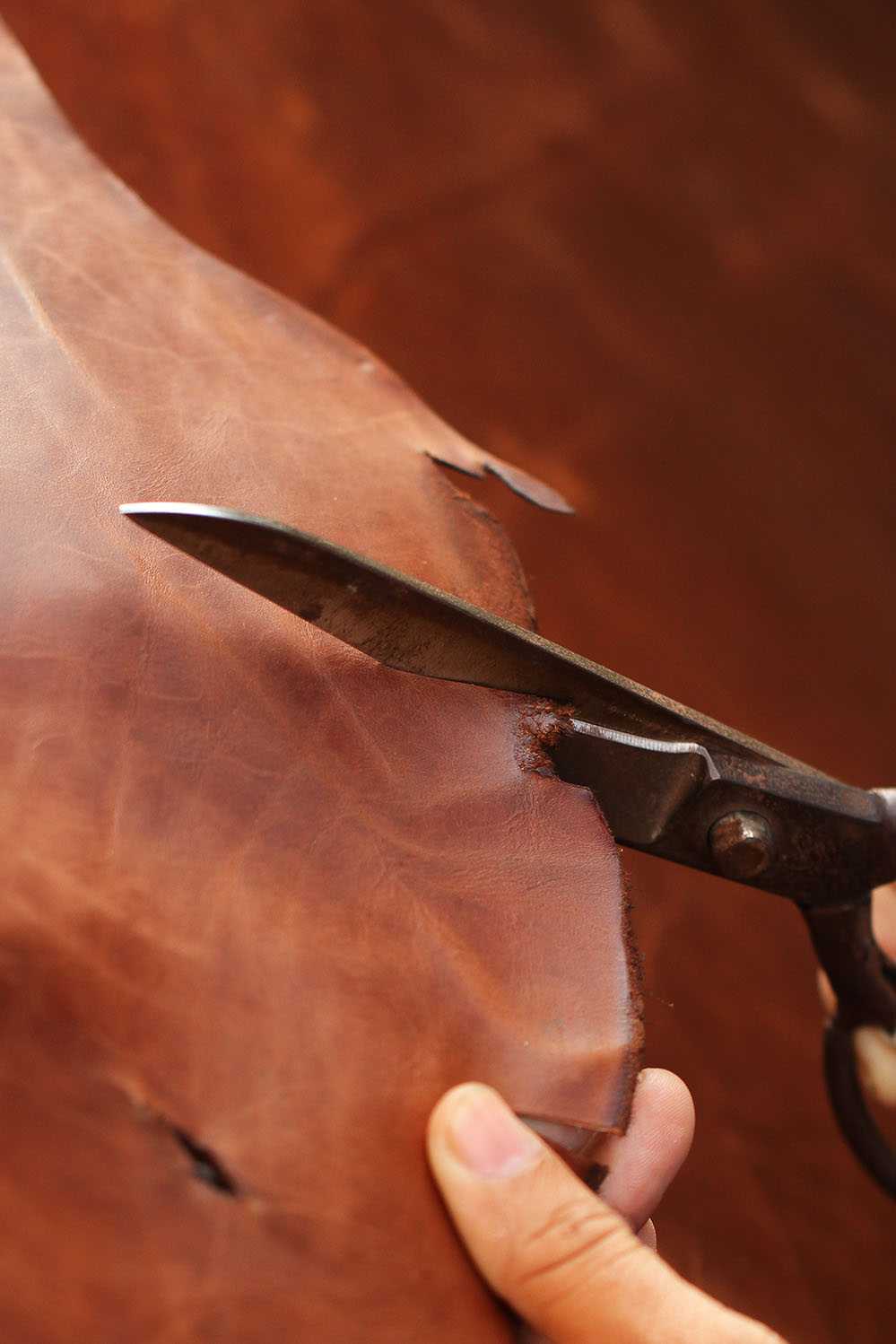 Close up image of a hand holding scissors and cutting leather.